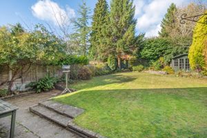 Photo 42- click for photo gallery